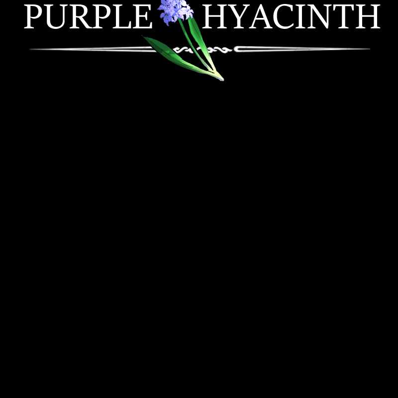 Purple Hyacinth Chapter 87 5